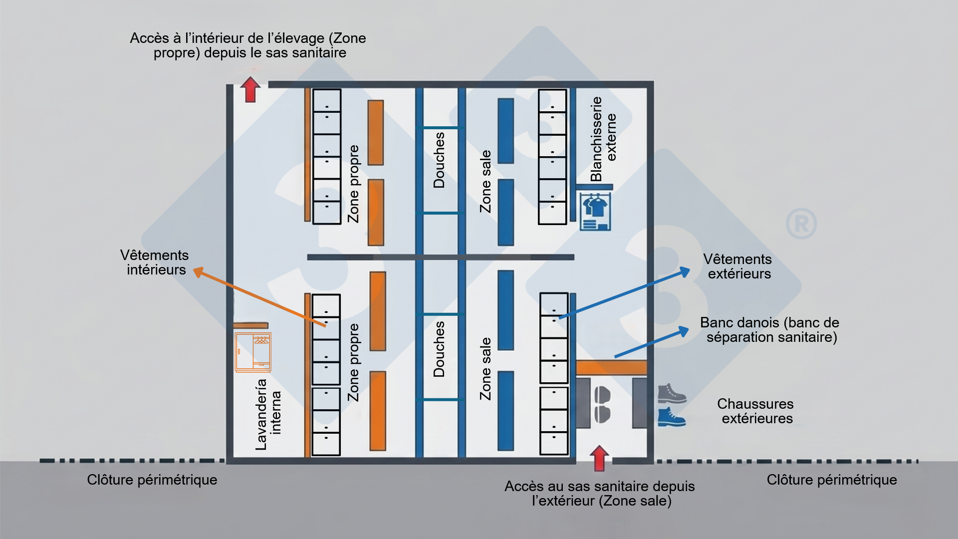 Figure 2. Schéma d’un sas sanitaire détaillant la séparation physique au moyen de bancs de séparation sanitaire permettant de laisser les chaussures hors de la zone de changement de vêtements, ainsi que la séquence obligatoire : zone sale, douches et zone propre.