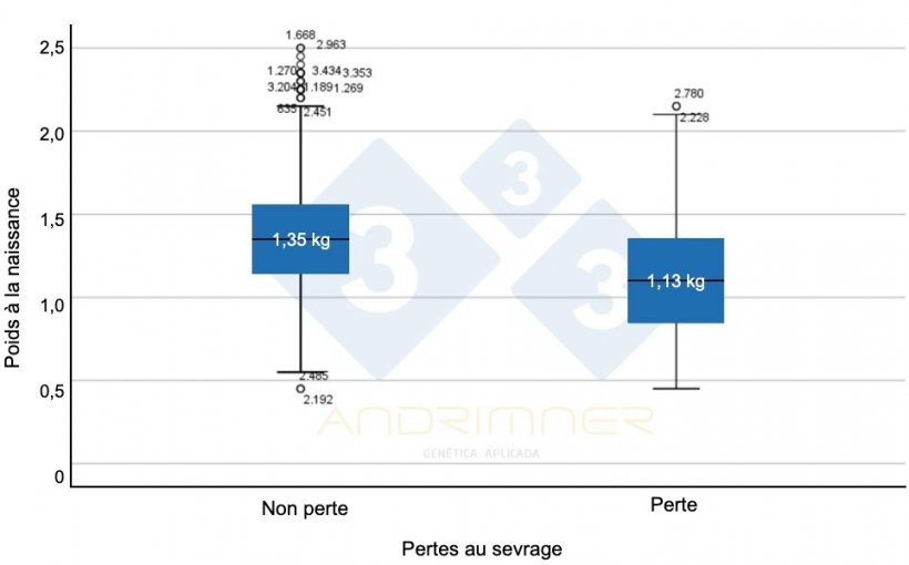 Graphique 4 : Poids moyen &agrave; la naissance des survivants (&quot;non pertes &quot;) et poids moyen &agrave; la naissance des pertes. Diff&eacute;rences tr&egrave;s significatives entre les deux groupes ( F=155,713 ; p&lt;0,001) Source : Javier Lorente. Elevage commercial, 3483 porcelets pes&eacute;s individuellement. 2021.
