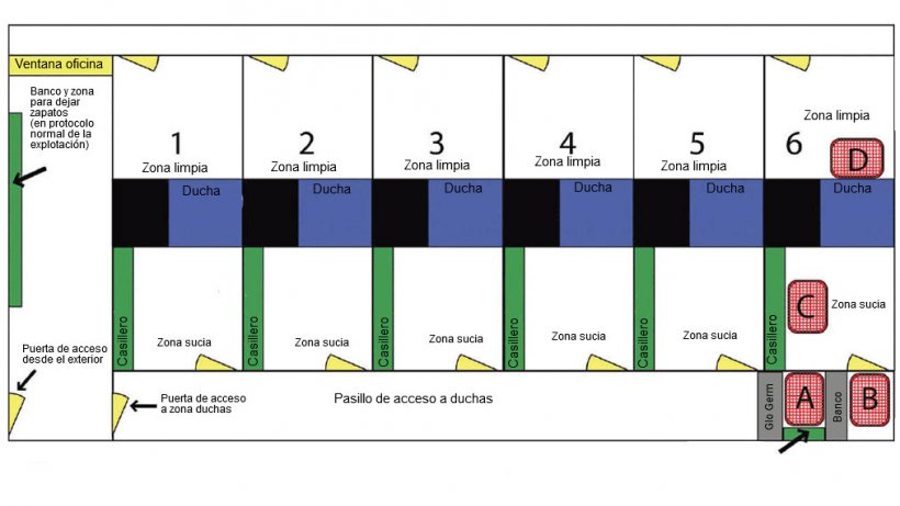 Diagrama de la zona de duchas y sus accesos. La ducha 6 se utiliz&oacute; para realizar el estudio. Se indican la ubicaci&oacute;n del banco para los d&iacute;as de tratamiento y la colocaci&oacute;n del polvo fluorescente (Glo Germ). La ubicaci&oacute;n de cada punto de muestreo se designa con las letras A, B, C y D.

