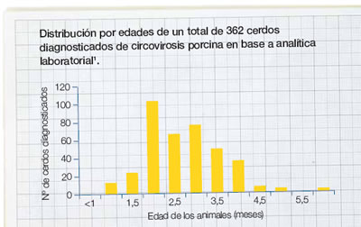 distribución circovirosis por edades