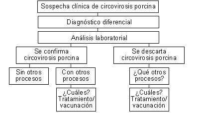 aproximación global al diagnóstico de granja