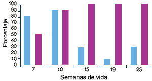 Seroperfil y PCR-perfil  granja B