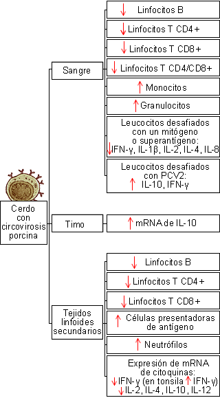 cambios de las subpoblaciones de células del sistema inmunitario