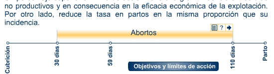 Abortos