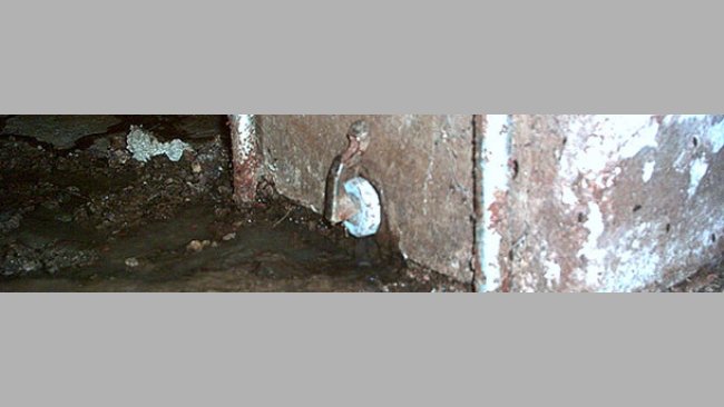 Tapones en los comederos 2