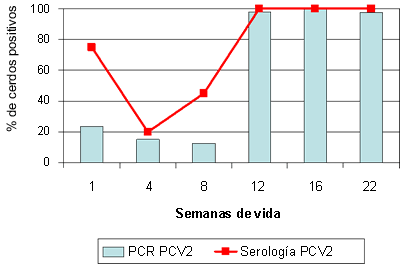 Sero- y PCR-perfiles frente a PCV2
