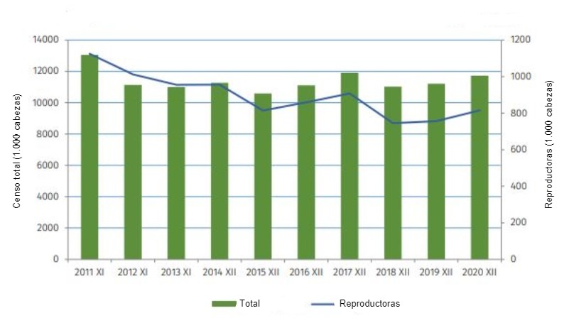 Evolución de la cabaña porcina de Polonia desde 2011. Fuente: GUS.