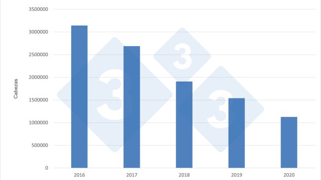 Importaciones anuales alemanas de cerdos de engorde procedentes de los Países Bajos.