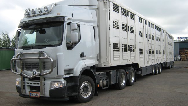 transporte animal