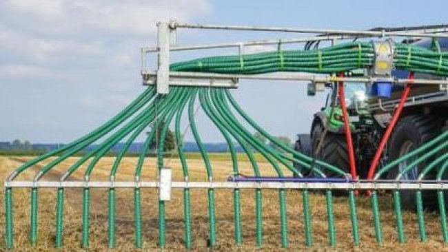 fertilización purines