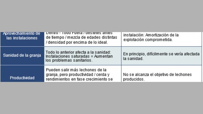 24-texto