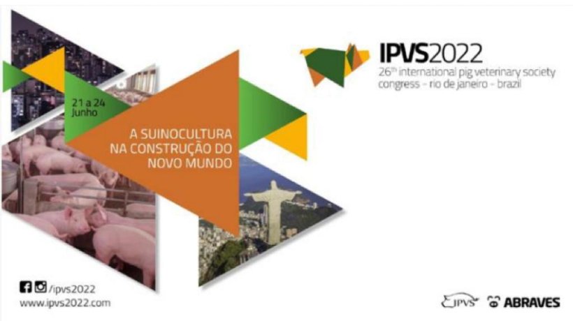 IPVS2022