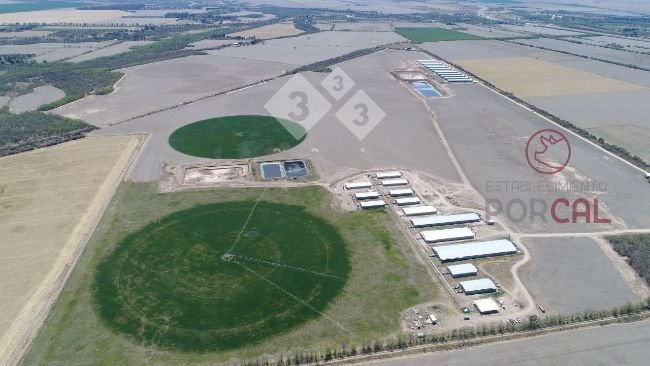 Láminas de riego o de efluentes. 