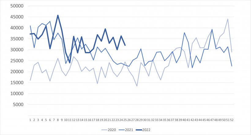 Importaciones semanales de lechones neerlandeses (cabezas). Fuente: 333 a partir de datos de RVO.
