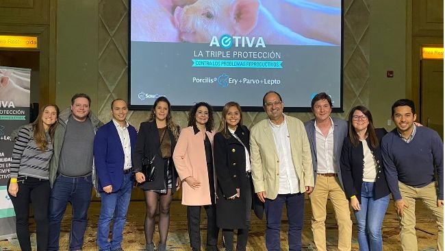 Lanzamiento vacuna MSD