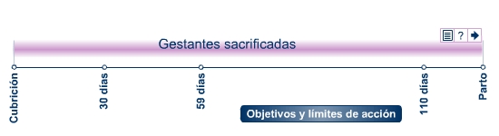 Sacrificadas