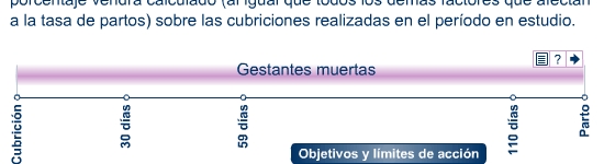Cerdas muertas