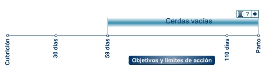 Cerdas vacías