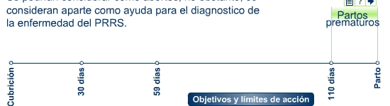 Cerdas prematuras