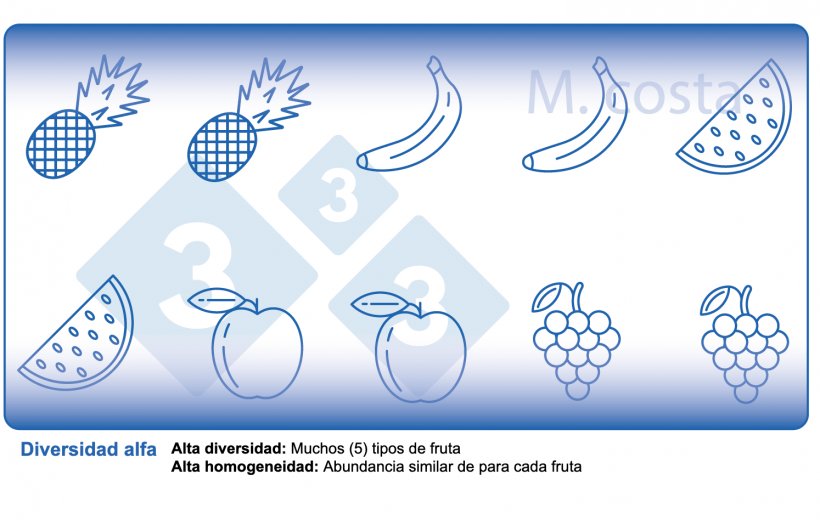 Figura 2. C&oacute;mo interpretar las medidas de diversidad microbiana de las muestras (diversidad alfa). La variedad es un par&aacute;metro de la diversidad (por ejemplo, los tipos de frutas) y la homogeneidad (por ejemplo, la distribuci&oacute;n o abundancia de cada tipo de fruta) en una muestra determinada.
