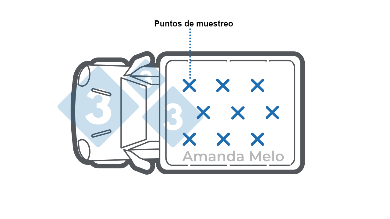 Figura 1: Esquema de puntos de muestreo con calador tipo sonda en camión a granel.