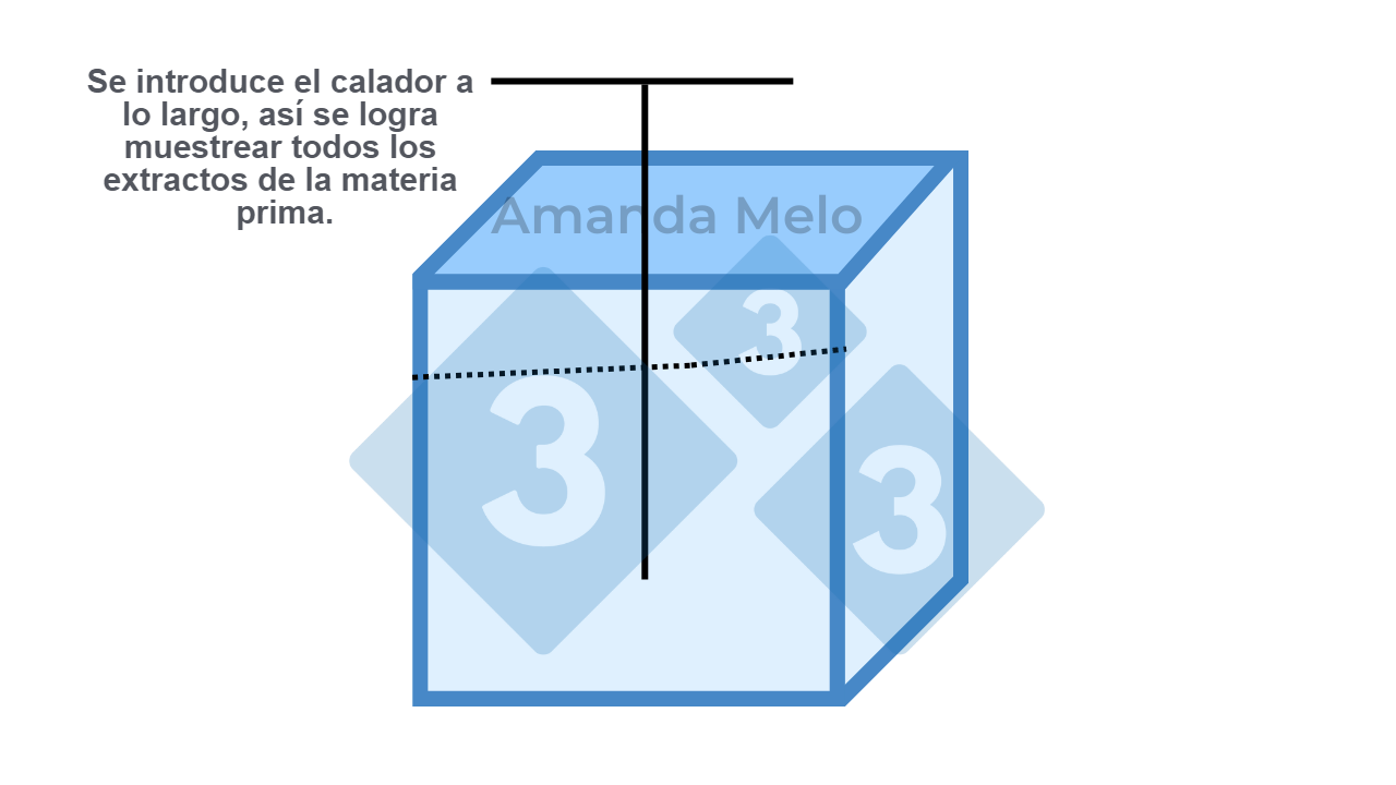 Figura 2: Esquema de puntos de muestreo en big bag con calador largo tipo sonda.