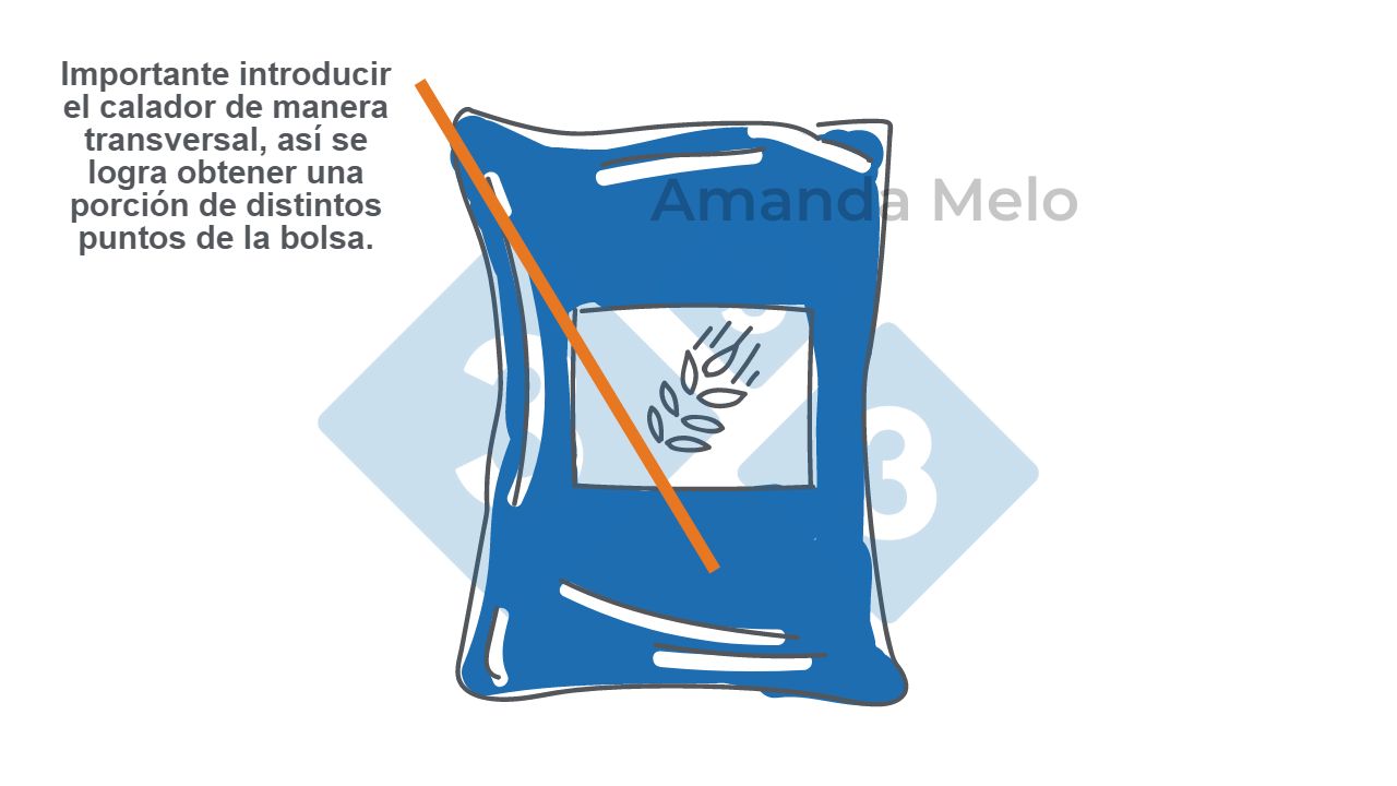 Figura 3. Esquema de muestreo de bolsa con calador corto.
