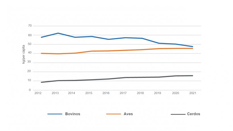 Fuente: MAGyP, 2022.