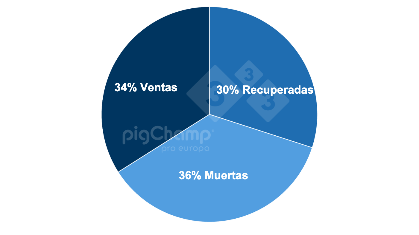 Gr&aacute;fico 2. Distribuci&oacute;n de las cerdas que destetan 0 lechones por destino posterior, periodo de destetes Julio 20-Junio 21.
