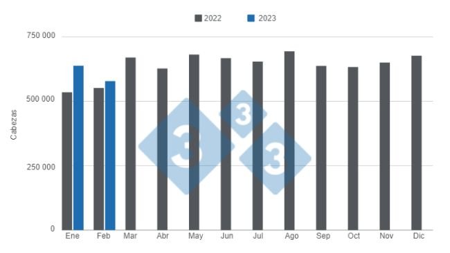 Gráfico 1. Faena mensual de porcinos 2023 versus 2022. Elaborado por el Departamento de Economía e Inteligencia de Mercados con datos de la Secretaría de Agricultura, Ganadería y Pesca del Ministerio de Economía de Argentina. 
