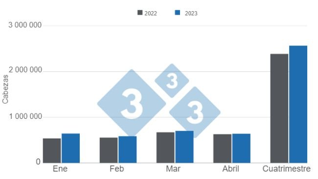 Gráfico 1. Faena de porcinos en el primer cuatrimestre de 2023 versus 2022. Elaborado por el Departamento de Economía e Inteligencia de Mercados con datos de la Secretaría de Agricultura, Ganadería y Pesca del Ministerio de Economía de Argentina. 