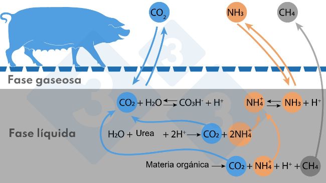 Figura. Esquema simplificado de las reacciones que afectan a las emisiones de NH3 y CH4
