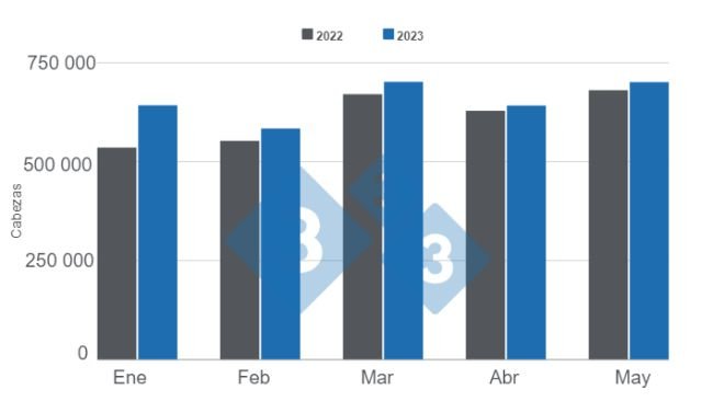 Gráfico 1. Faena mensual de porcinos en los primeros cinco meses del año. Elaborado por el Departamento de Economía e Inteligencia de Mercados con datos de la Secretaría de Agricultura, Ganadería y Pesca del Ministerio de Economía de Argentina. 