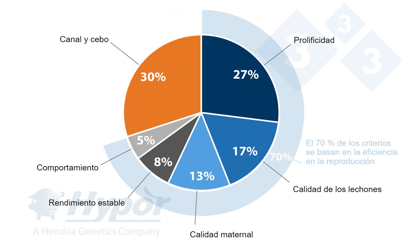 Criterios de selección para las líneas Hypor Landrace y Hypor Large White