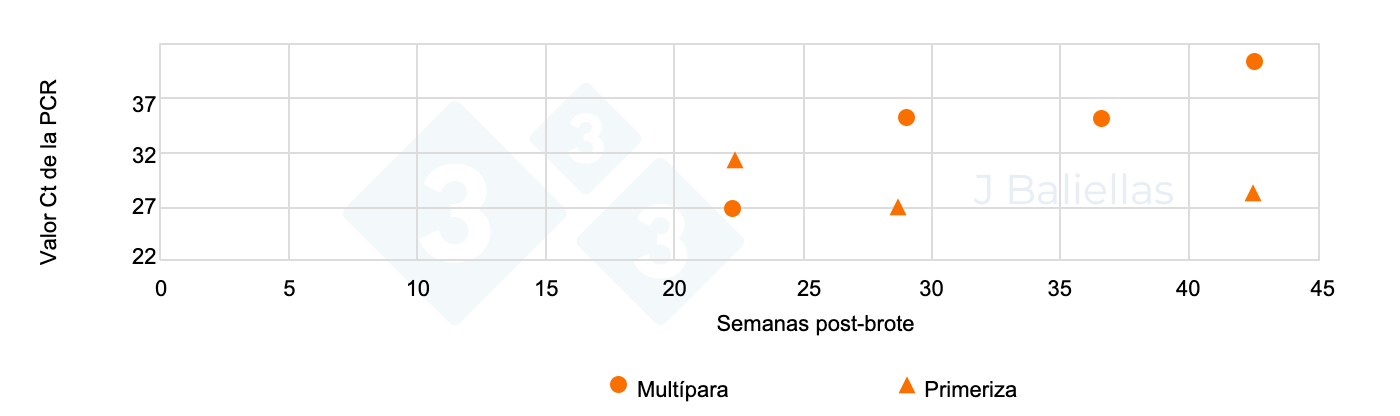 Evolución de los valores Ct de la PCR en las semanas post brote de PRRS de muestras de lenguas de NM de primerizas y multíparas.