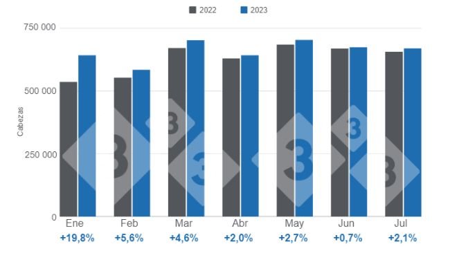Gráfico 1. Beneficio mensual de porcinos en el período enero - julio, variaciones respecto a 2022. Elaborado por el Departamento de Economía e Inteligencia de Mercados con datos de la Secretaría de Agricultura, Ganadería y Pesca del Ministerio de Economía de Argentina. 