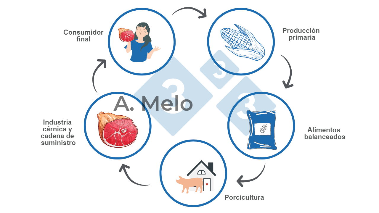 Gr&aacute;fico 1: Grafica de la cadena alimentaria desde la producci&oacute;n primaria hasta la mesa del consumidor final.
