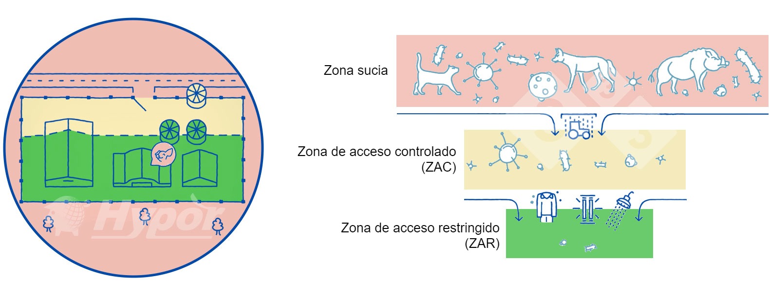 <p>Diferentes zonas sanitarias en una granja</p>
