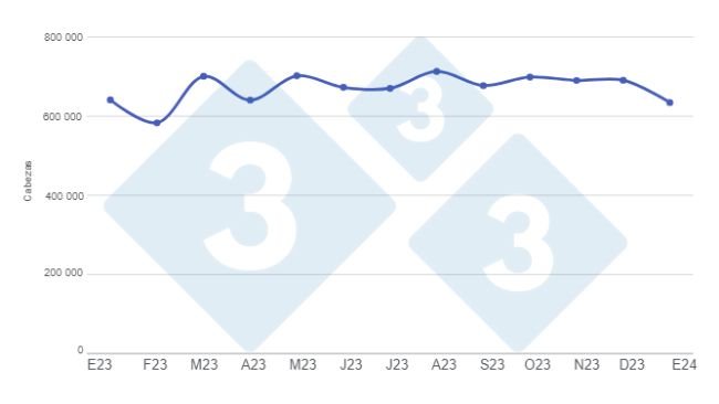 Gráfico 1. Evolución de la faena mensual de porcinos en el período enero de 2023 a enero de 2024. Elaborado por el Departamento de Economía e Inteligencia de Mercados de 333 Latinoamérica con datos de la Secretaría de Agricultura, Ganadería y Pesca  del Ministerio de Economía de Argentina.
 