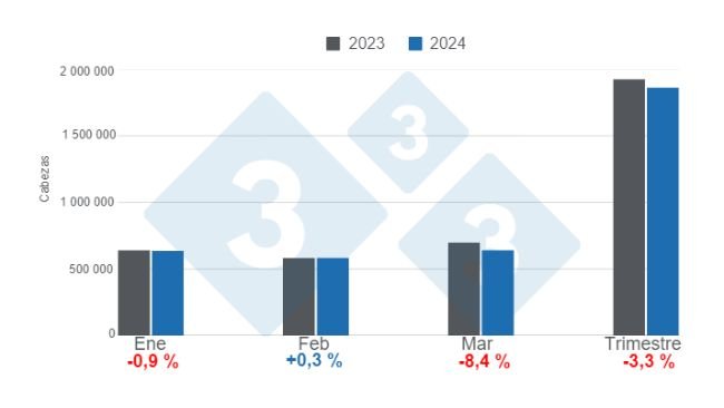 Gráfico 1. Faena mensual de porcinos en el primer trimestre de 2024, variaciones anuales. Elaborado por el Departamento de Economía e Inteligencia de Mercados de 333 Latinoamérica con datos de la Secretaría de Agricultura, Ganadería y Pesca del Ministerio de Economía de Argentina. 