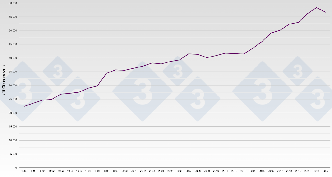 Gr&aacute;fico 1.&nbsp;Evoluci&oacute;n de la&nbsp;producci&oacute;n porcino en Espa&ntilde;a. N&uacute;mero de cerdos sacrificados por a&ntilde;o.
