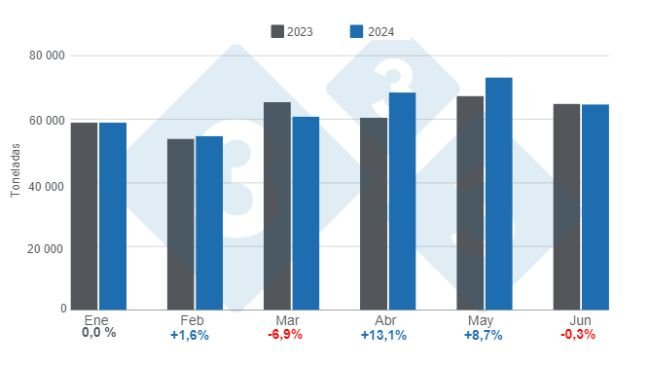 Gráfico 1.  Producción mensual de carne de cerdo para el período enero – junio, variaciones anuales. Elaborado por el Departamento de Economía e Inteligencia de Mercados de 333 Latinoamérica con datos de la Secretaría de Agricultura, Ganadería y Pesca del Ministerio de Economía de Argentina.
