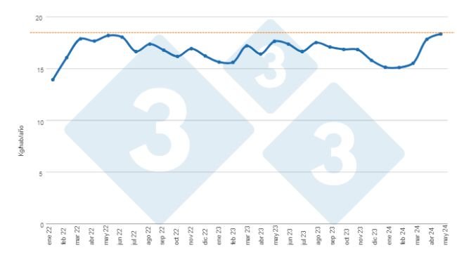 Gráfico 1. Evolución mensual del consumo per cápita estimado de carne de cerdo en el período enero 2022 a mayo 2024. Elaborado por el Departamento de Economía e Inteligencia de Mercados de 333 Latinoamérica con datos de la Secretaría de Agricultura, Ganadería y Pesca del Ministerio de Economía de Argentina. 