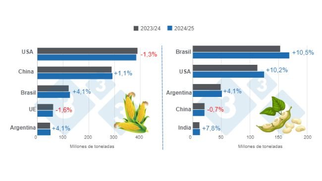 Gráfico 1. Proyección de cosecha para los principales productores mundiales de maíz y soya - campaña 2024/25 versus ciclo 2023/24 – última actualización: 12 de agosto de 2024. Elaborado por el Departamento de Economía e Inteligencia de Mercados con datos de FAS – USDA.