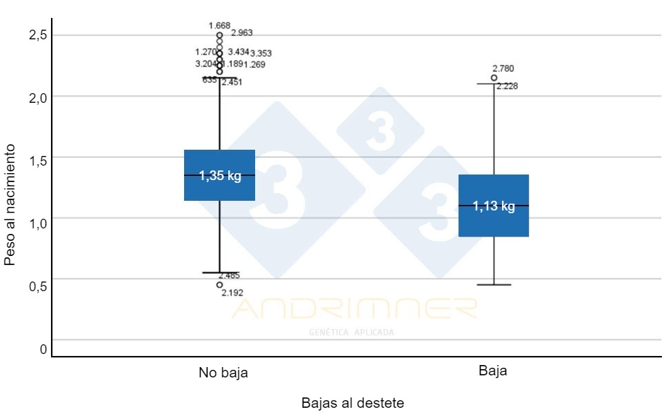 Peso medio al nacimiento de los supervivientes