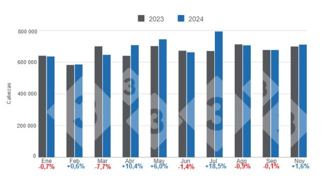 Gráfico 1. Faena mensual de porcinos en el período enero – octubre de 2024, variaciones anuales. Elaborado por el Departamento de Economía e Inteligencia de Mercados de 333 Latinoamérica con datos de la Secretaría de Agricultura, Ganadería y Pesca del Ministerio de Economía de Argentina. 