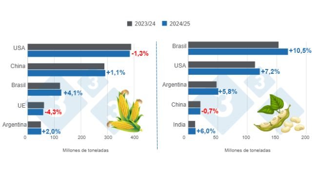 Gráfico 1. Proyección de cosecha para los principales productores mundiales de maíz y soya - campaña 2024/25 versus ciclo 2023/24 – última actualización: 8 de noviembre de 2024. Elaborado por el Departamento de Economía e Inteligencia de Mercados con datos de FAS – USDA. 