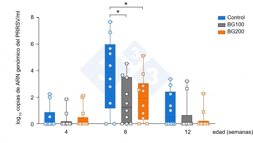 Figura 6. Reducci&oacute;n temprana de la viremia de PRRS MLV mediante la suplementaci&oacute;n con betaglucanos&nbsp;(Chuaychu et al., 2024). Se seleccionaron aleatoriamente sueros de cerdos experimentales de cada grupo (n=10) y y se sometieron a extracci&oacute;n de ARN gen&oacute;mico viral. El ARN gen&oacute;mico del PRRSV se cuantific&oacute; mediante qRT-PCR. Los datos representan la media (&plusmn;DE) del ARN gen&oacute;mico del PRRSV. El asterisco (*) indica diferencias significativas (p&lt;0,05) entre los grupos.
