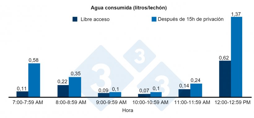 Figura 3. Agua consumida (litros/lech&oacute;n) despu&eacute;s de 15 horas de privaci&oacute;n o libre acceso al agua.
