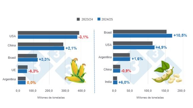 Gráfico 1: Proyección de cosecha para los principales productores mundiales de maíz y soya - campaña 2024/25 versus ciclo 2023/24 – última actualización: 11 de febrero de 2025.  Elaborado por el Departamento de Economía y Sostenibilidad de 333 Latinoamérica con datos de FAS – USDA